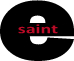 eSaint logo